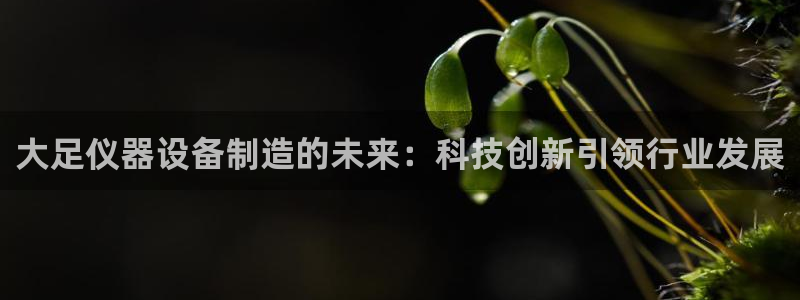 意昂体育3招商电话号码是多少号：大足仪器设备制造的未来：科技