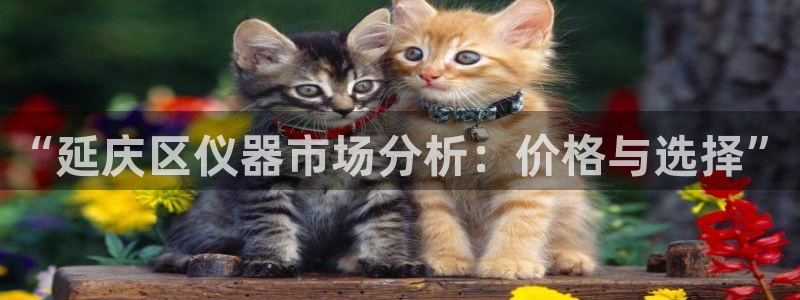 意昂体育3招商电话是多少啊：“延庆区仪器市场分析：价格与选择