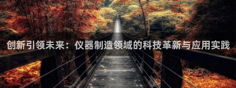 意昂3娱乐首页网站大全：创新引领未来：仪器制造领域的科技革新