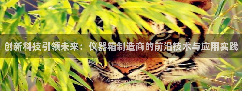 意昂3娱乐代理怎么样：创新科技引领未来：仪器箱制造商的前沿技