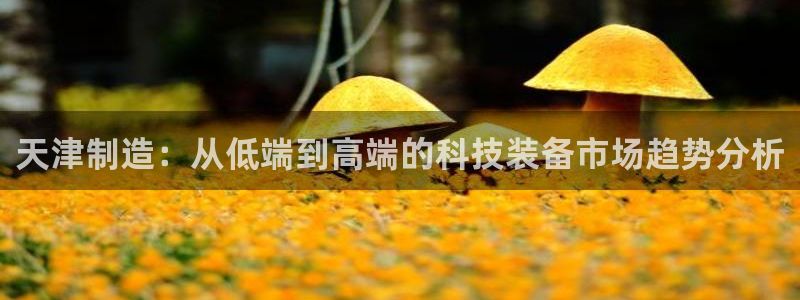 意昂3娱乐网站：天津制造：从低端到高端的科技装备市场趋势分析