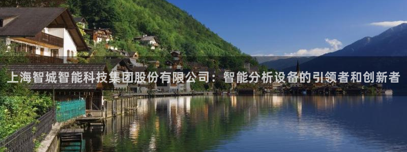 意昂体育3官方客服电话：上海智城智能科技集团股份有限公司：智