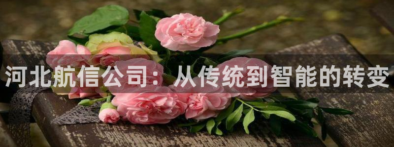 意昂3娱乐首页官网下载：河北航信公司：从传统到智能的转变