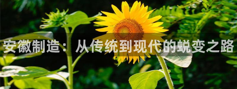 意昂体育3平台注册要钱吗：安徽制造：从传统到现代的蜕变之路