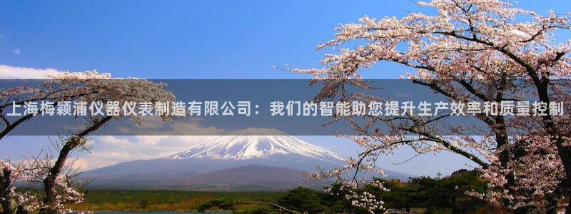 意昂体育3平台注册流程视频：上海梅颖浦仪器仪表制造有限公司：