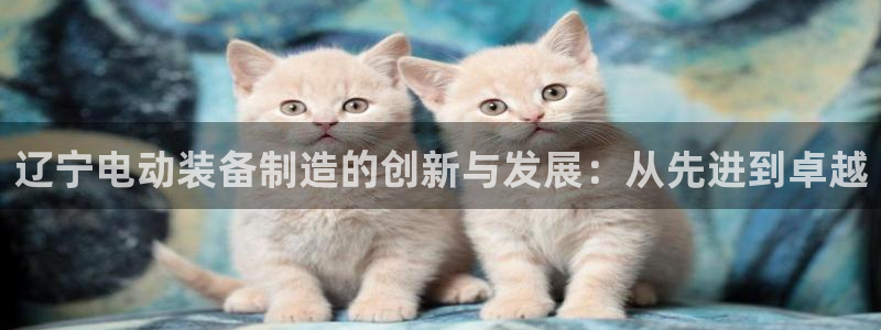 意昂3新能源：辽宁电动装备制造的创新与发展：从先进到卓越