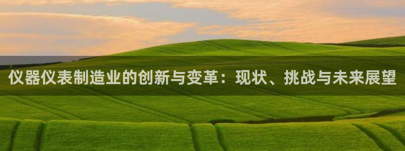 意昂体育3是干嘛的公司：仪器仪表制造业的创新与变革：现状、挑