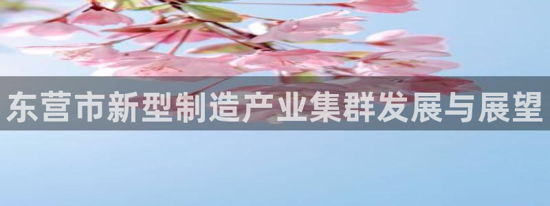 意昂3娱乐下载：东营市新型制造产业集群发展与展望
