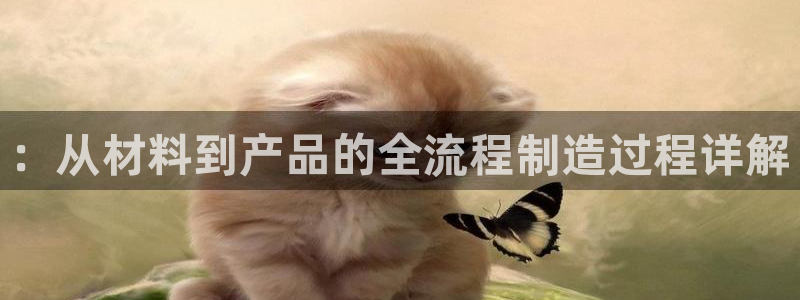 意昂体育3平台假的吗是真的吗吗：：从材料到产品的全流程制造过