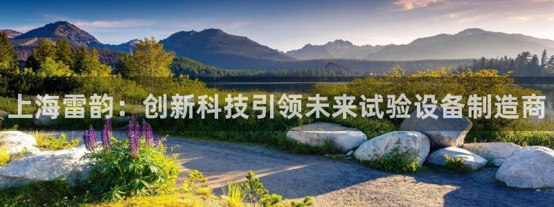 意昂3娱乐首页网站大全：上海雷韵：创新科技引领未来试验设备制