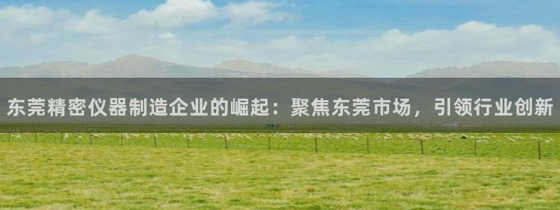 意昂体育3平台注册要钱吗是真的吗：东莞精密仪器制造企业的崛起