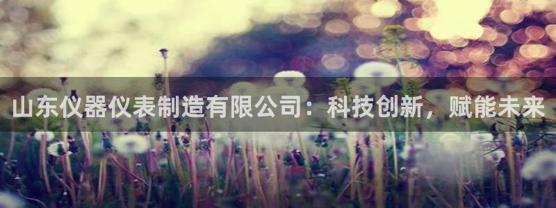 意昂3官方：山东仪器仪表制造有限公司：科技创新，赋能未来