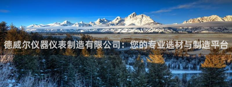 意昂体育3招商：德威尔仪器仪表制造有限公司：您的专业选材与制