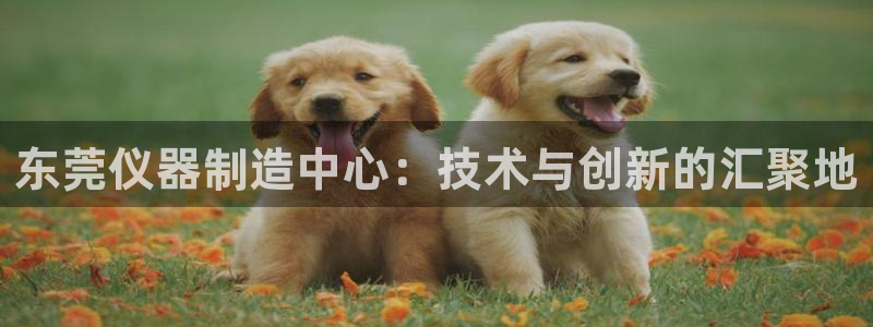 意昂体育3招商电话号码是多少啊：东莞仪器制造中心：技术与创新