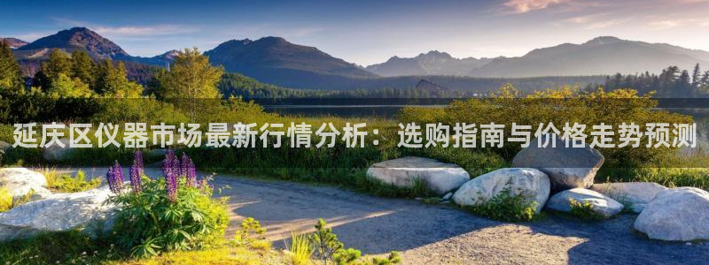 意昂体育3官方客服电话：延庆区仪器市场最新行情分析：选购指南