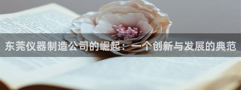 意昂体育3招商电话号码是多少：东莞仪器制造公司的崛起：一个创