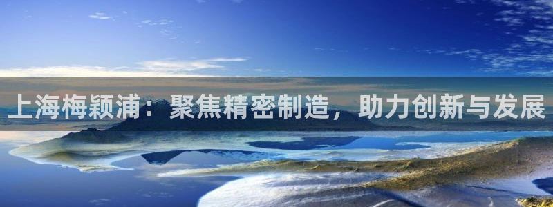 意昂体育3招商电话地址：上海梅颖浦：聚焦精密制造，助力创新与
