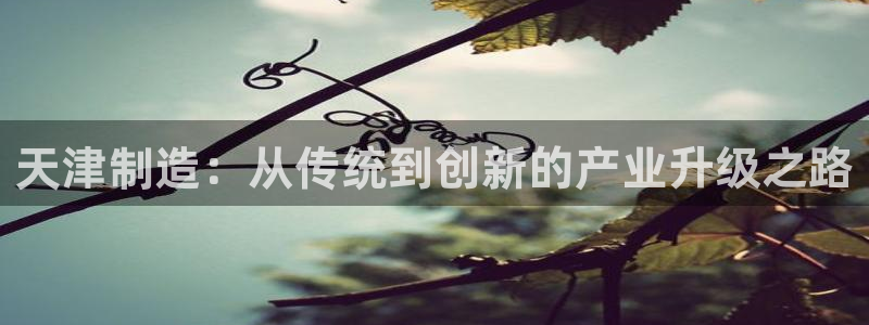 意昂体育3招商：天津制造：从传统到创新的产业升级之路