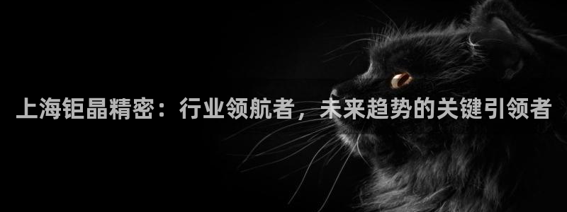 意昂体育3注册：上海钜晶精密：行业领航者，未来趋势的关键引领