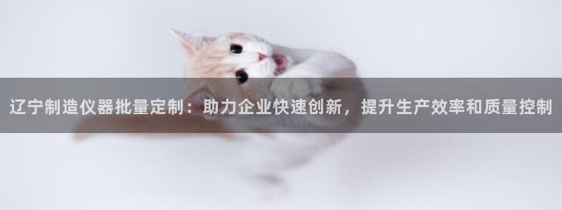 意昂体育3平台注册要钱吗：辽宁制造仪器批量定制：助力企业快速