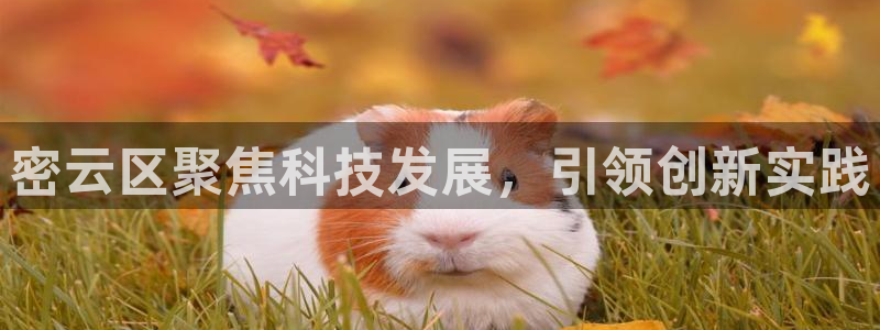 意昂体育3是干嘛的公司：密云区聚焦科技发展，引领创新实践