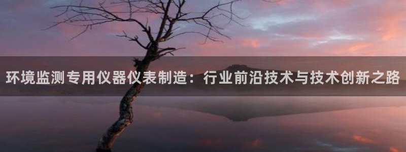 意昂体育3软件：环境监测专用仪器仪表制造：行业前沿技术与技术