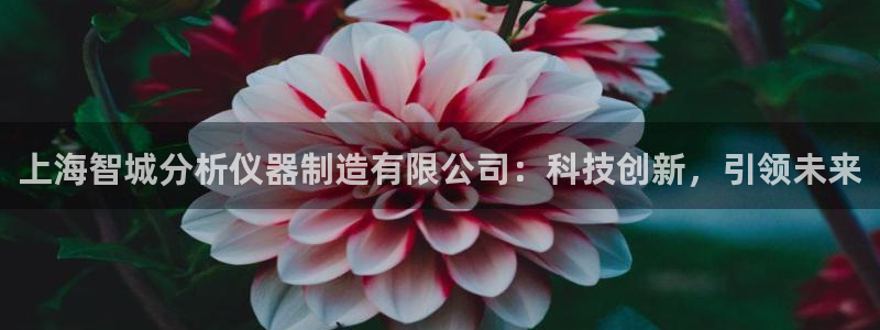 意昂3娱乐是那个系列的台子：上海智城分析仪器制造有限公司：科
