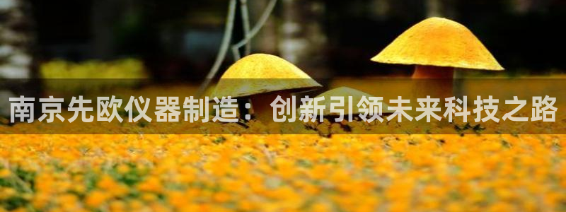 意昂体育3平台注册流程视频：南京先欧仪器制造：创新引领未来科