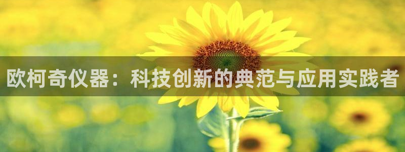 海南意昂体育3：欧柯奇仪器：科技创新的典范与应用实践者