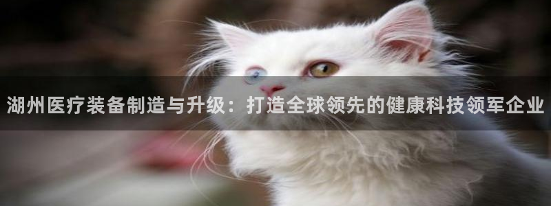 意昂3娱乐代理怎么样：湖州医疗装备制造与升级：打造全球领先的