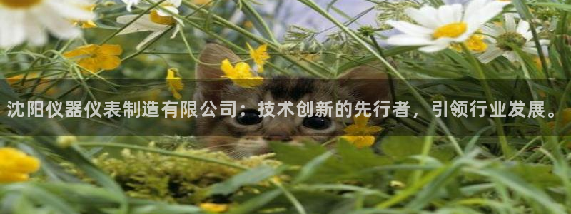 意昂3五金厂