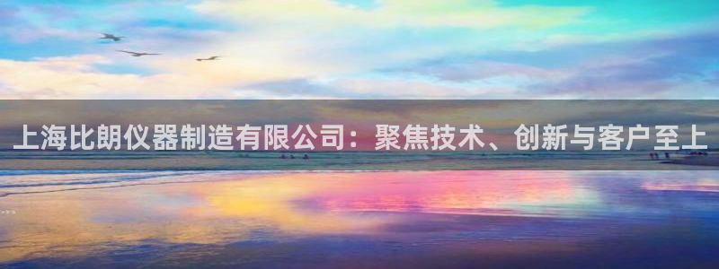意昂体育3平台注册要钱吗：上海比朗仪器制造有限公司：聚焦技术
