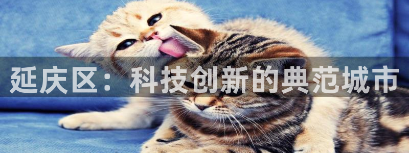 意昂体育3平台是正规平台吗知乎