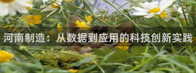 意昂3娱乐是那个系列的台子：河南制造：从数据到应用的科技创新