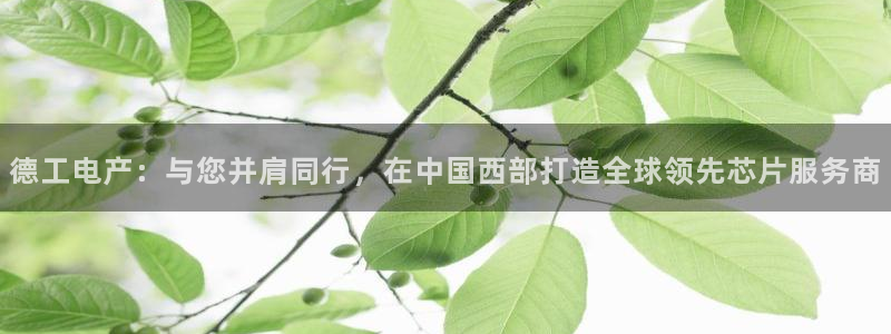 意昂体育3软件：德工电产：与您并肩同行，在中国西部打造全球领