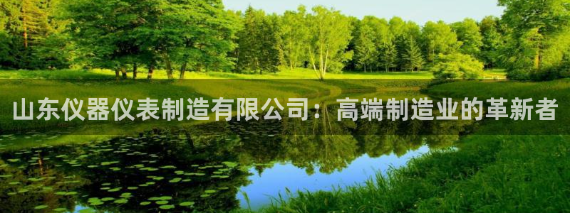意昂3娱乐40996：山东仪器仪表制造有限公司：高端制造业的