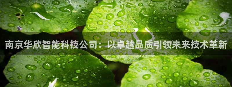 意昂3开户：南京华欣智能科技公司：以卓越品质引领未来技术革新