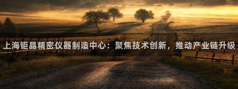 意昂3娱乐是那个系列的台子：上海钜晶精密仪器制造中心：聚焦技