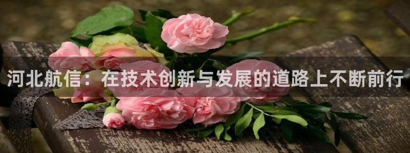 意昂体育3平台假的吗是真的吗：河北航信：在技术创新与发展的道