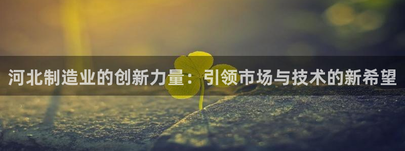 意昂体育3平台注册：河北制造业的创新力量：引领市场与技术的新