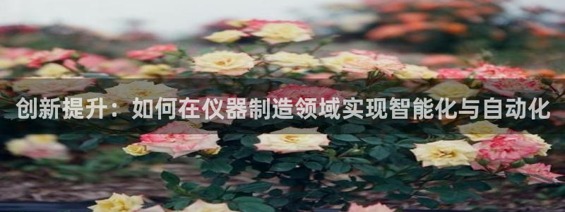 意昂体育3招商电话号码查询：创新提升：如何在仪器制造领域实现