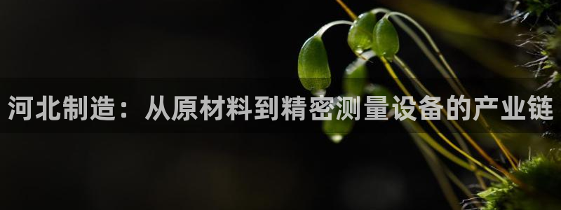 意昂3集团官网首页：河北制造：从原材料到精密测量设备的产业链