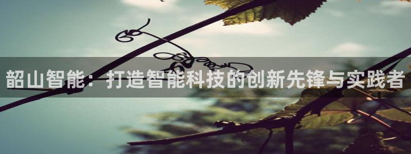 意昂体育3招商电话号码是多少号：韶山智能：打造智能科技的创新