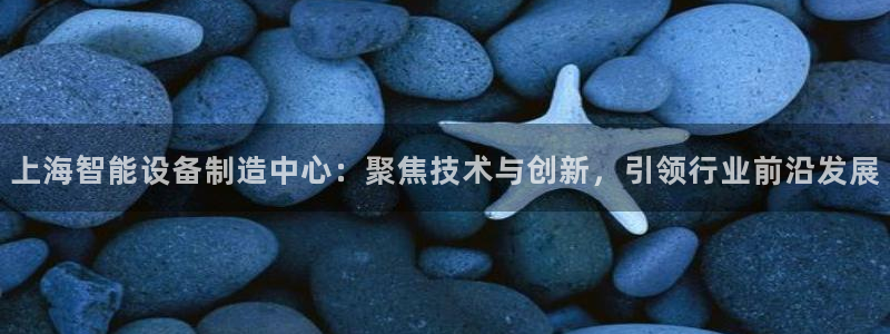 意昂3集团简介：上海智能设备制造中心：聚焦技术与创新，引领行