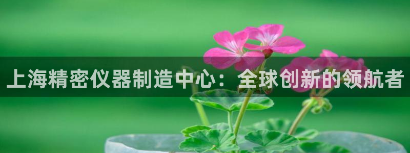 意昂3官方：上海精密仪器制造中心：全球创新的领航者