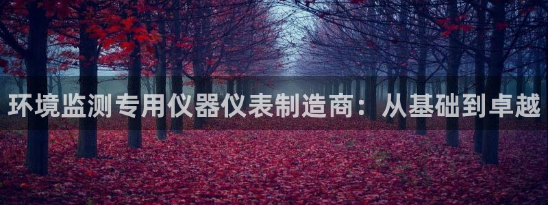 意昂3集团官网首页网址：环境监测专用仪器仪表制造商：从基础到