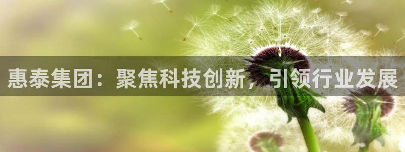 意昂3代理：惠泰集团：聚焦科技创新，引领行业发展