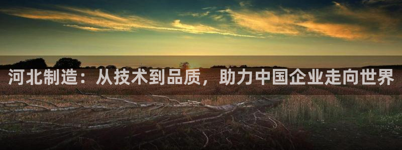 意昂3集团简介：河北制造：从技术到品质，助力中国企业走向世界